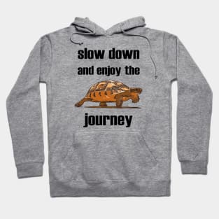 Slow Down And Enjoy The Journey Tortoise Hoodie